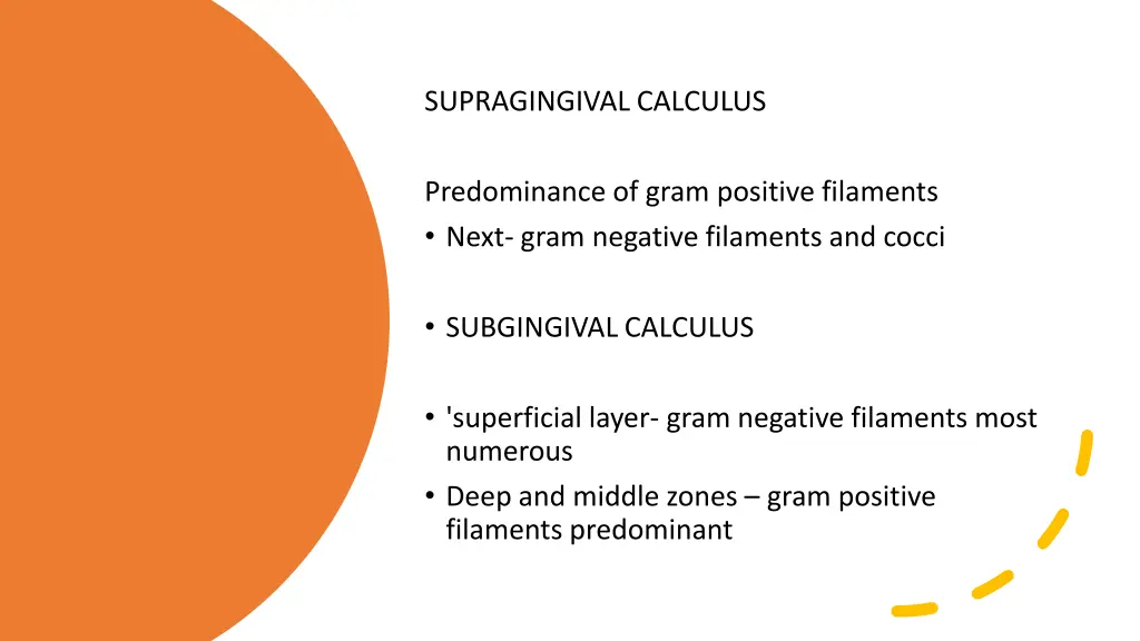 supragingival calculus 1