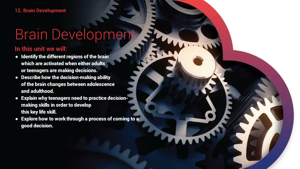 12 brain development