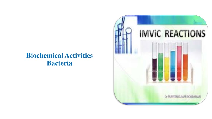 biochemical activities bacteria