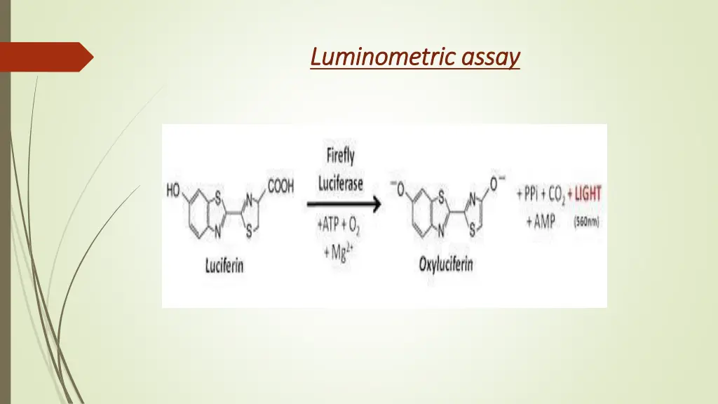luminometric assay luminometric assay
