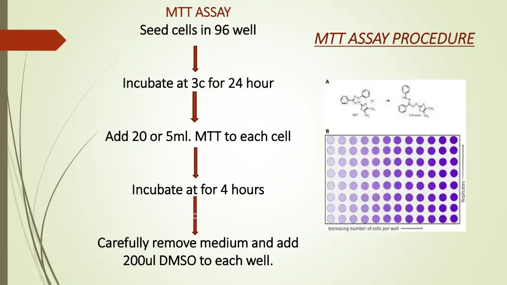 mtt assay mtt assay seed cells in 96 well seed