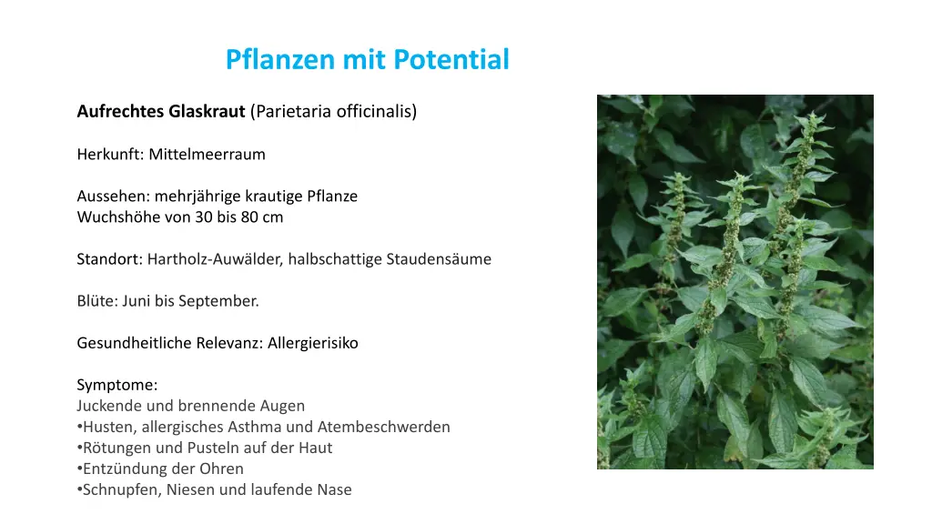 pflanzen mit potential