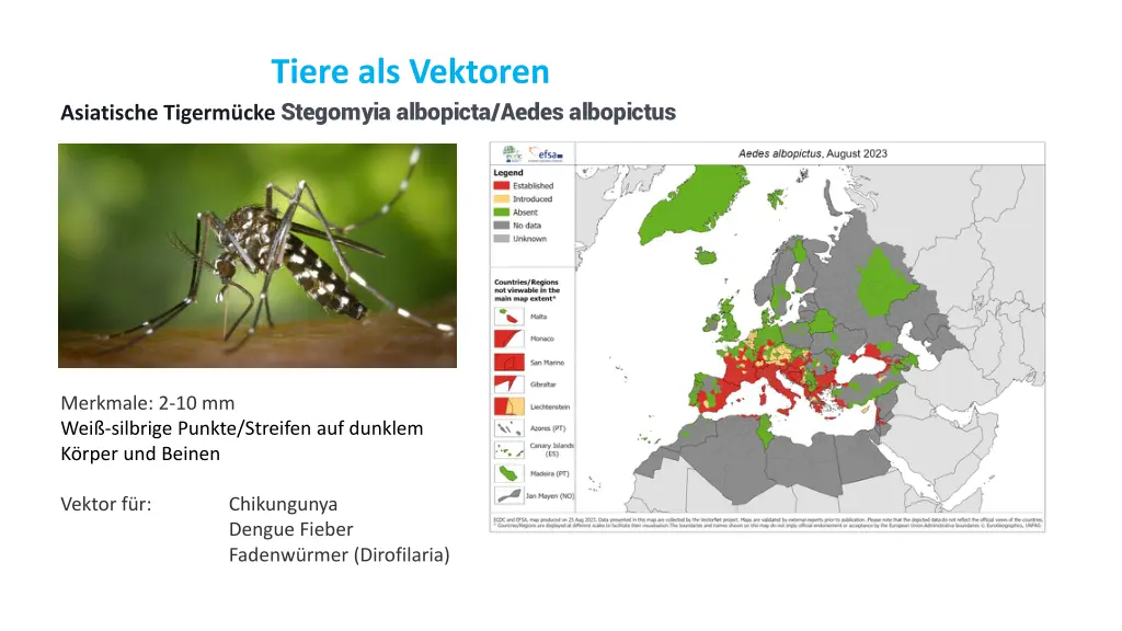 tiere als vektoren 1