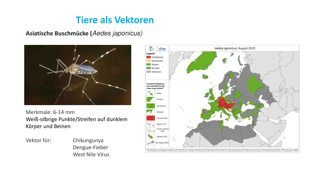 tiere als vektoren 2