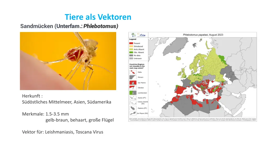 tiere als vektoren 3