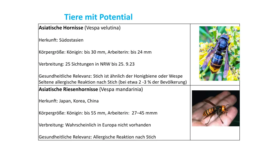 tiere mit potential 1