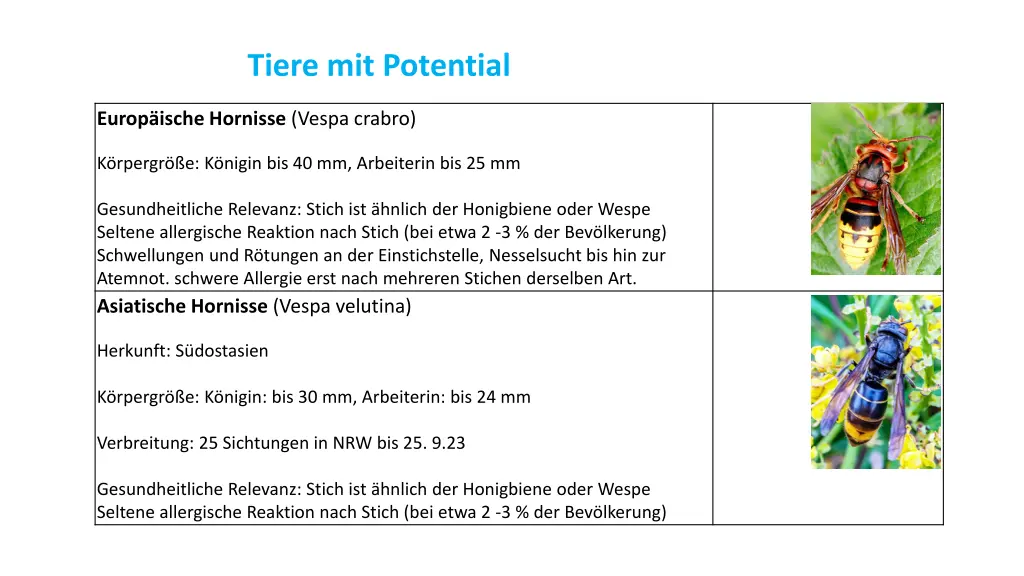 tiere mit potential