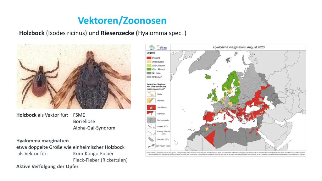 vektoren zoonosen