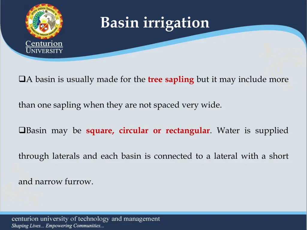 basin irrigation