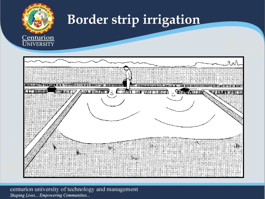border strip irrigation 2