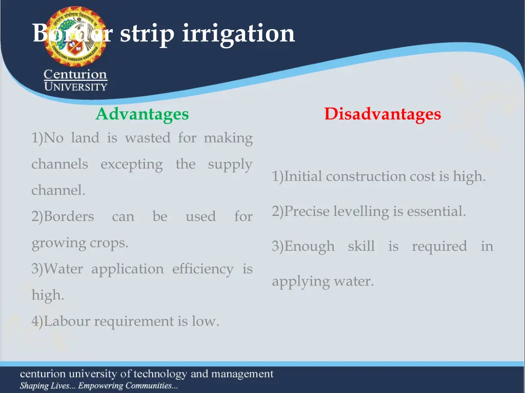 border strip irrigation 3