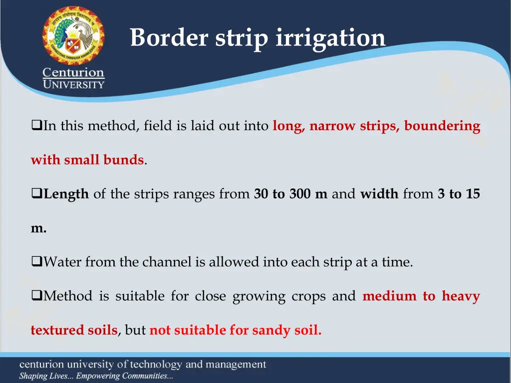 border strip irrigation