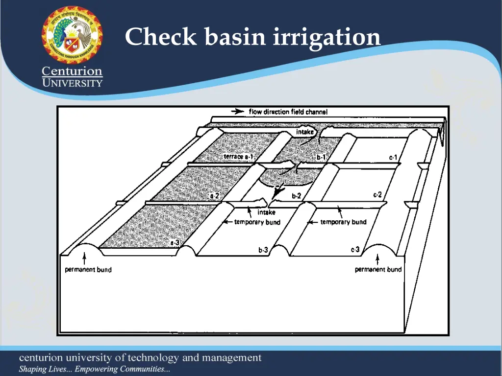 check basin irrigation 1