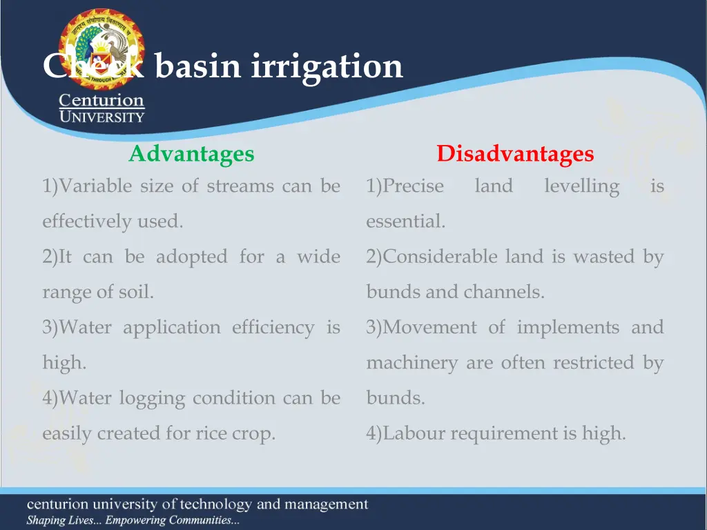 check basin irrigation 2