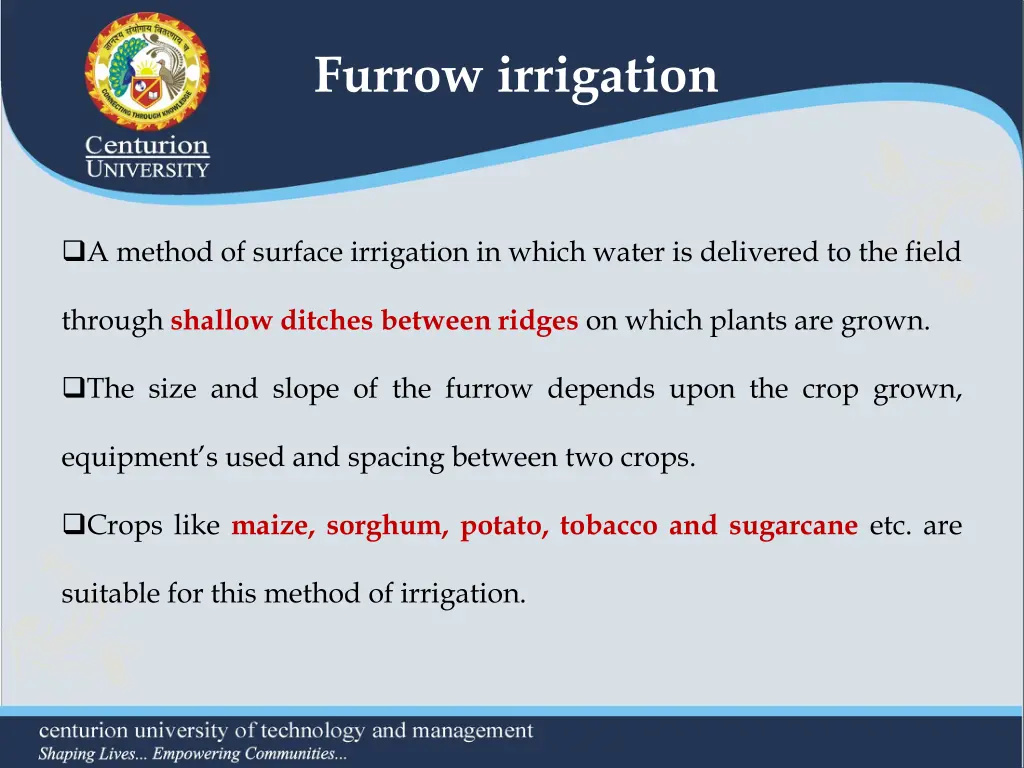 furrow irrigation