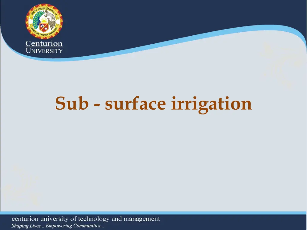 sub surface irrigation