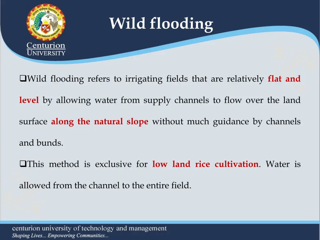 wild flooding