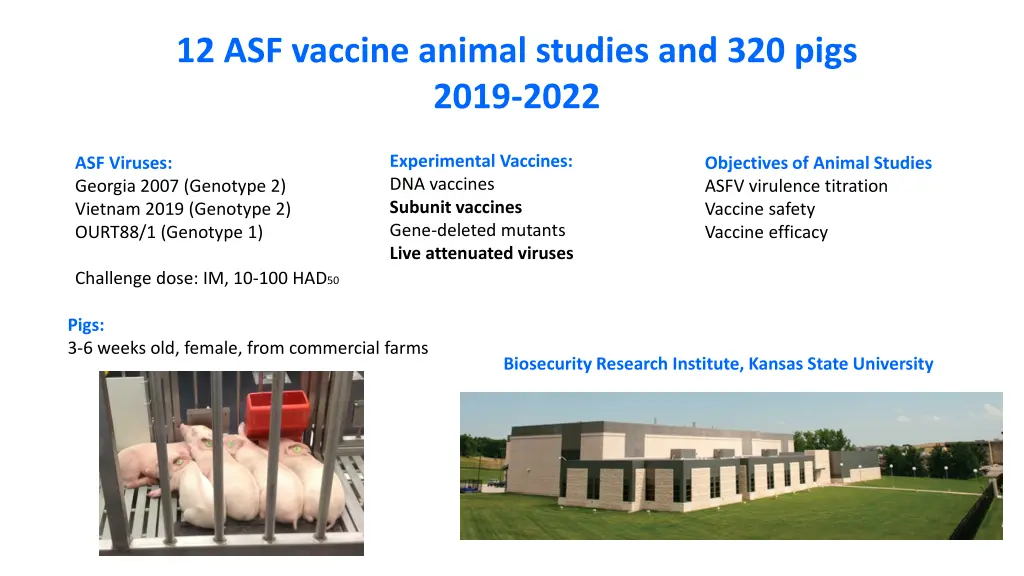 12 asf vaccine animal studies and 320 pigs 2019 1