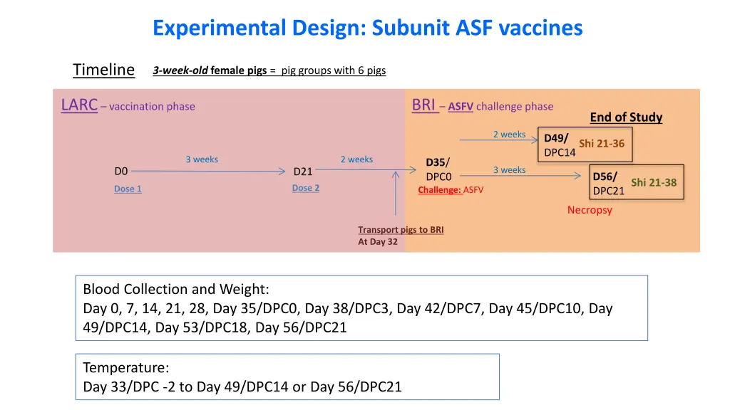 experimental design subunit asf vaccines