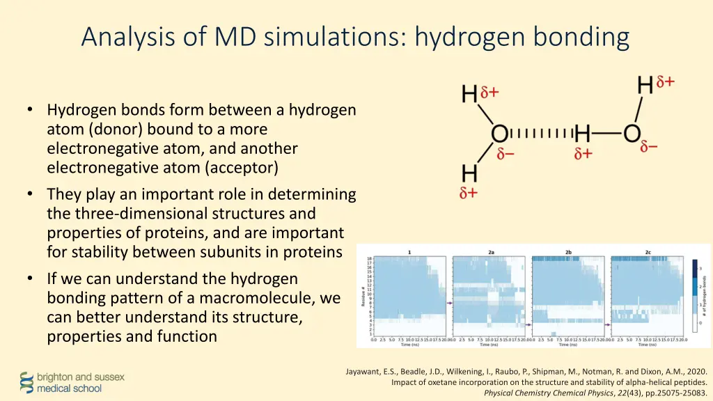 analysis of md simulations hydrogen bonding 1