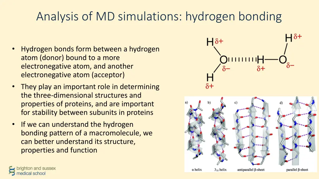 analysis of md simulations hydrogen bonding