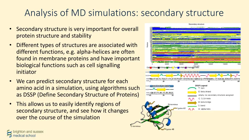 analysis of md simulations secondary structure