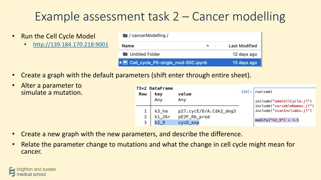 example assessment task 2 cancer modelling