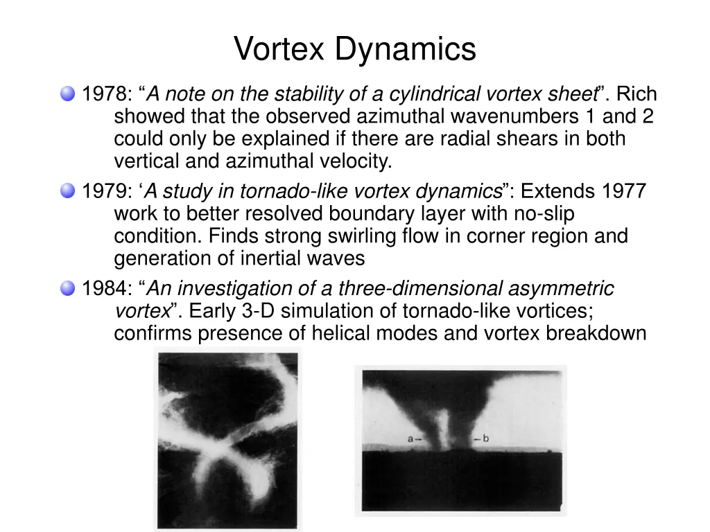 vortex dynamics 1