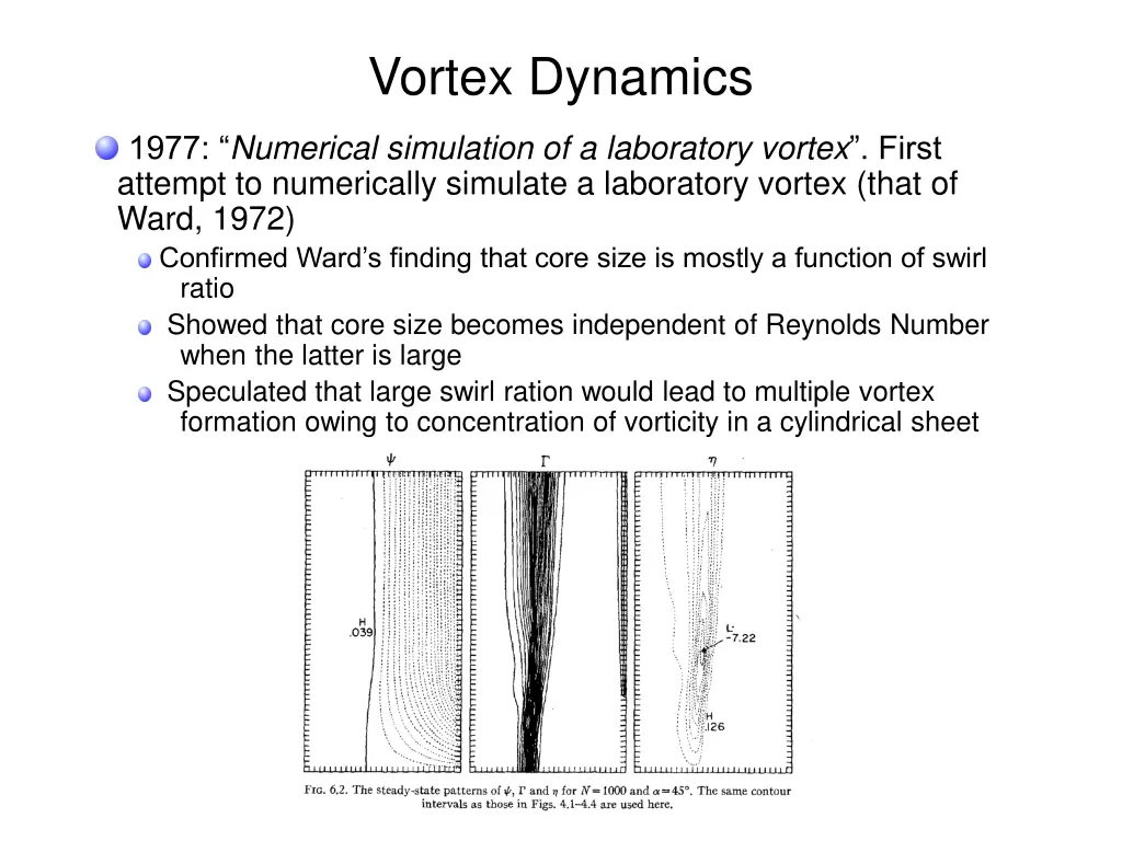 vortex dynamics