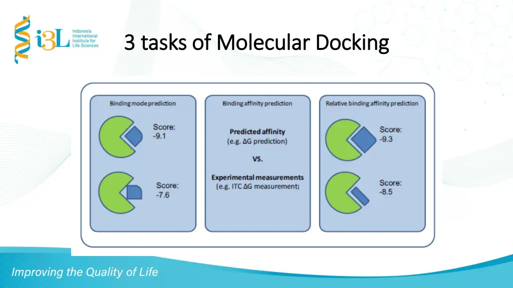 3 tasks of molecular docking 3 tasks of molecular