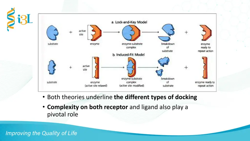 both theories underline the different types