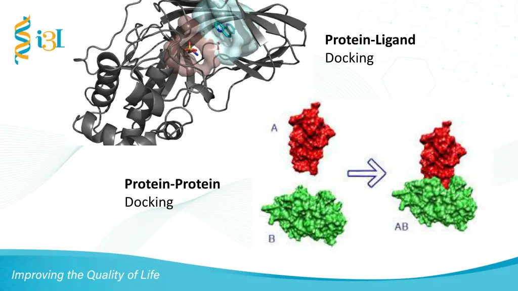 protein ligand docking