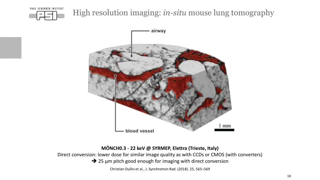 high resolution imaging in situ mouse lung