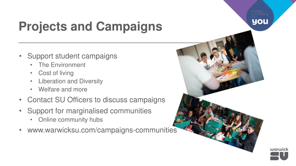 projects and campaigns