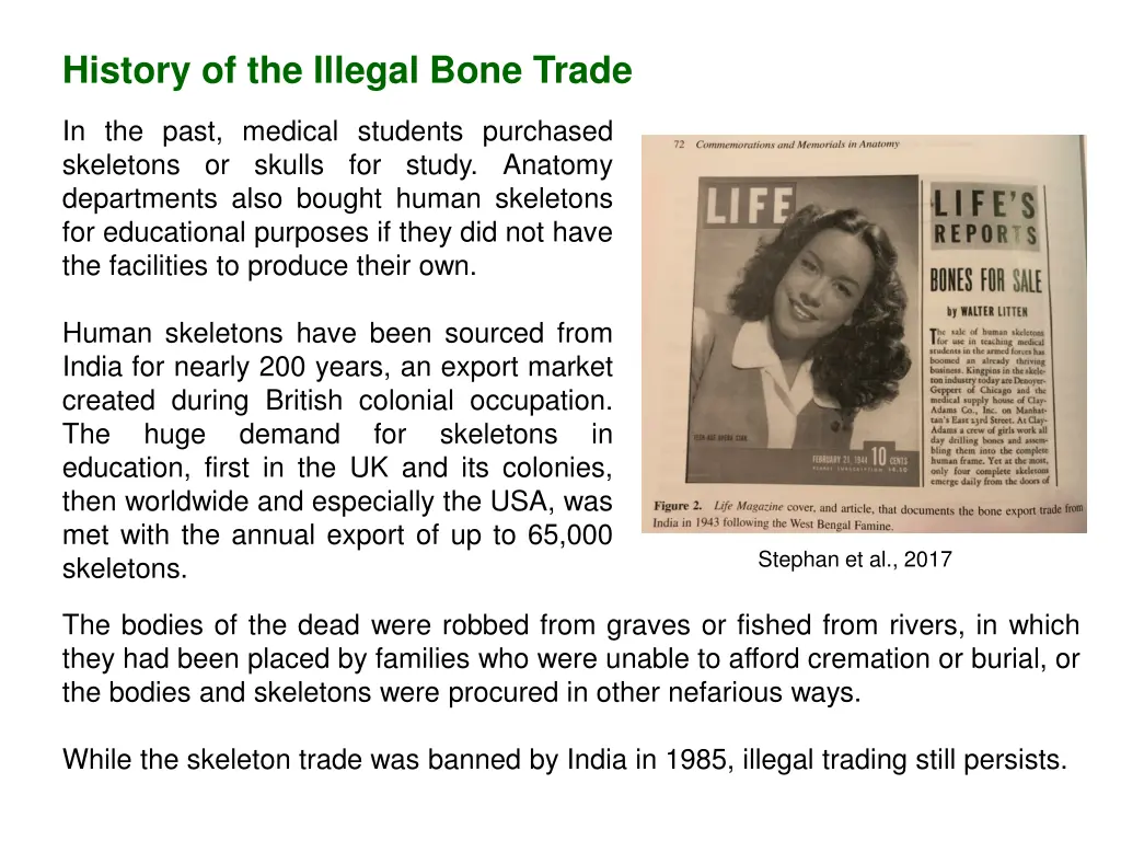 history of the illegal bone trade