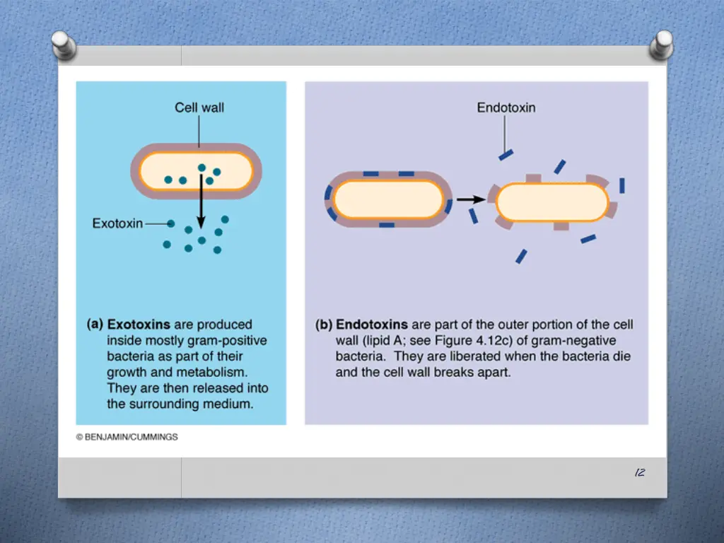 slide12