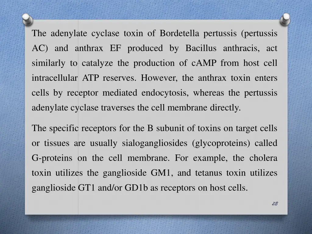 the adenylate cyclase toxin of bordetella