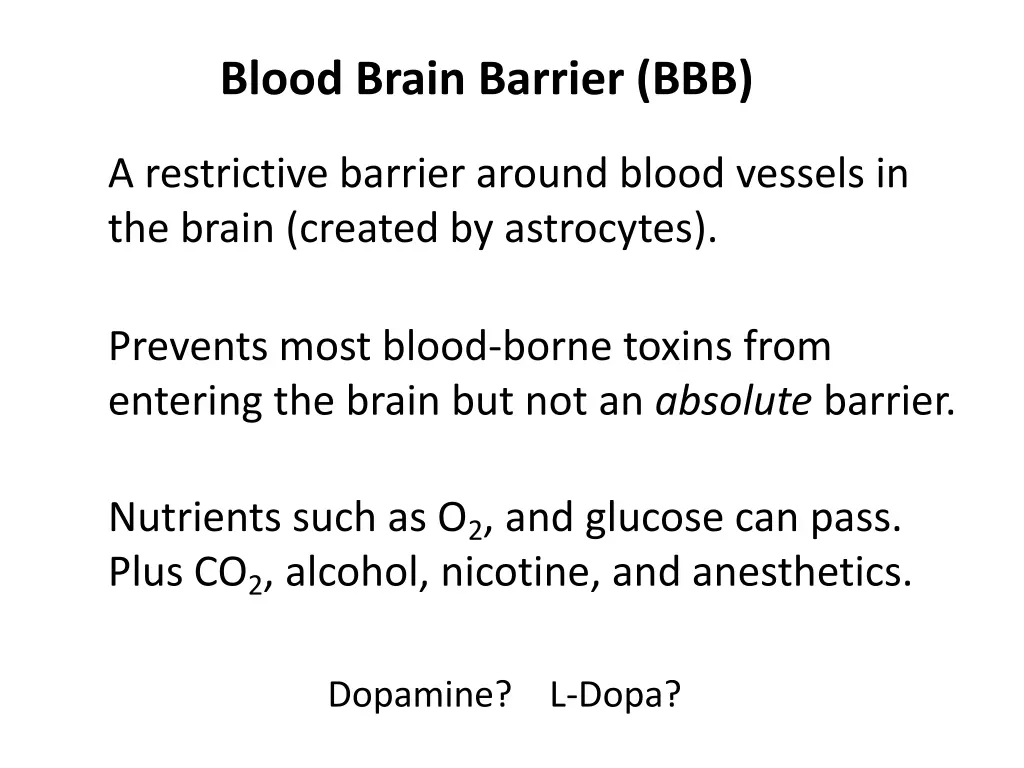 blood brain barrier bbb