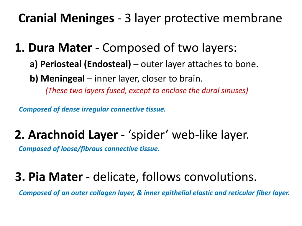cranial meninges 3 layer protective membrane