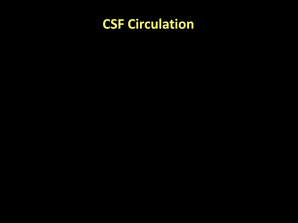 csf circulation