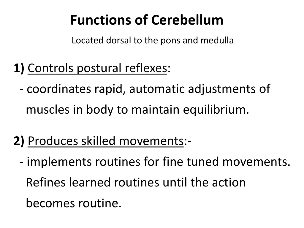 functions of cerebellum