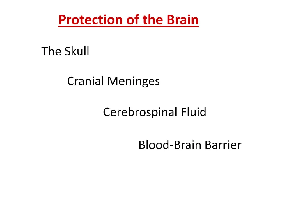 protection of the brain