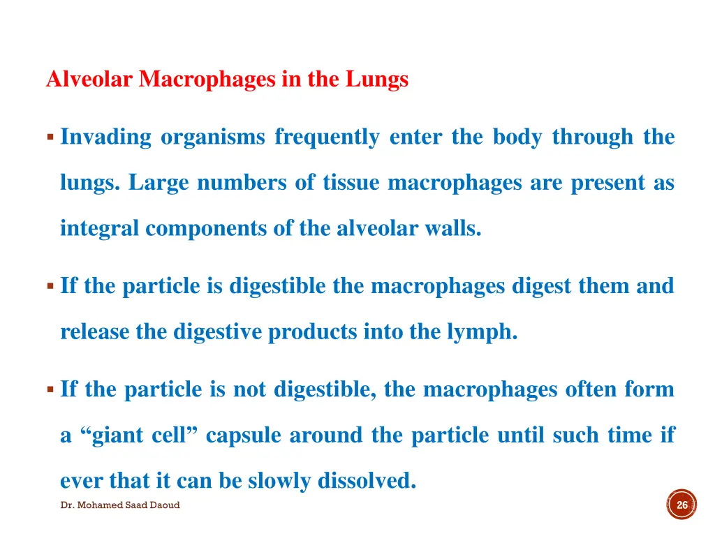 alveolar macrophages in the lungs