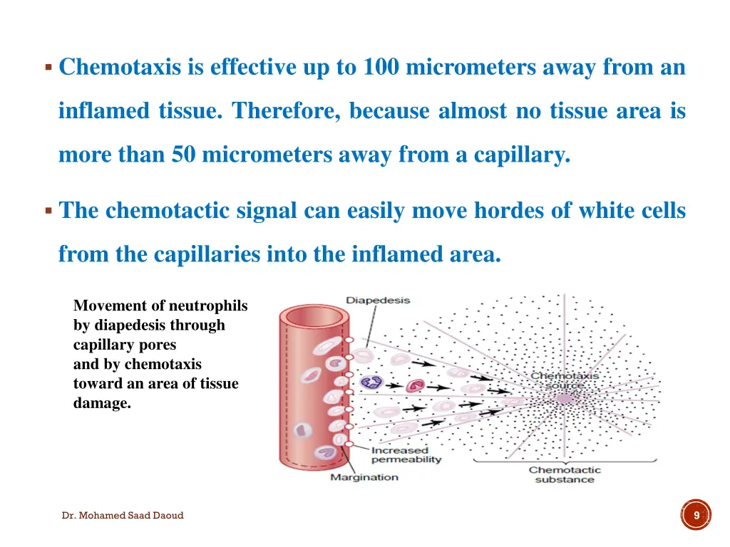 chemotaxis is effective up to 100 micrometers