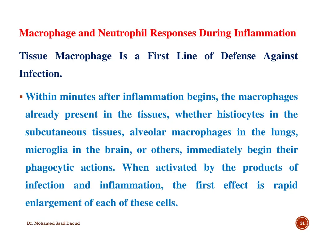 macrophage and neutrophil responses during