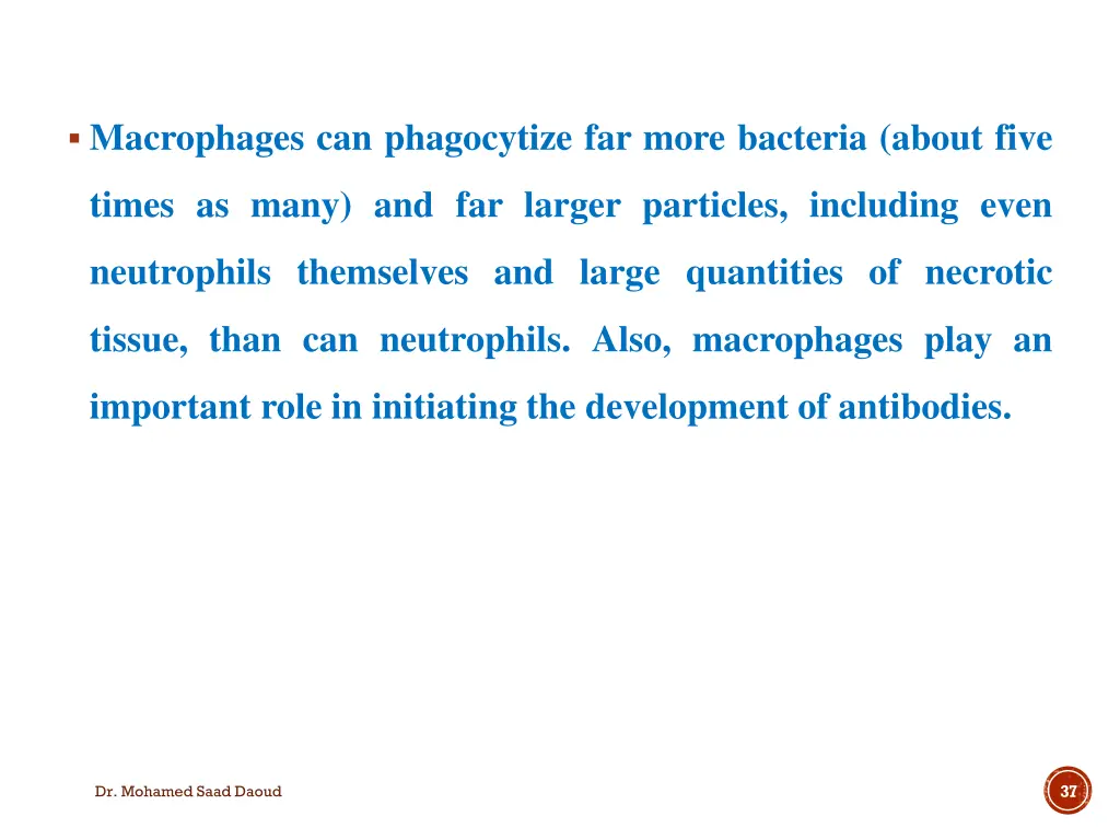 macrophages can phagocytize far more bacteria