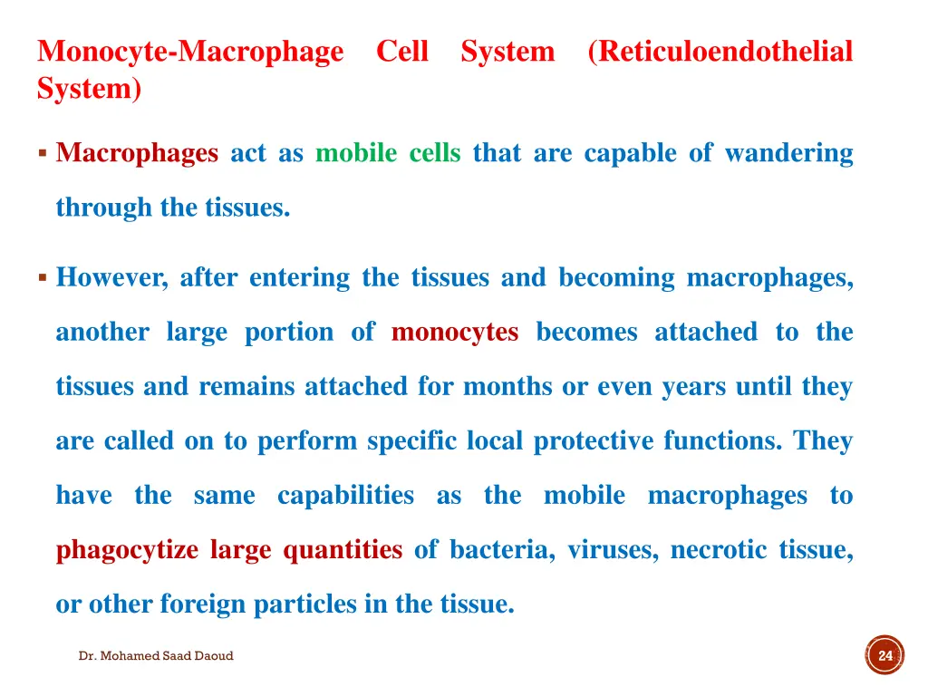 monocyte macrophage cell system