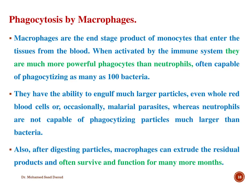 phagocytosis by macrophages