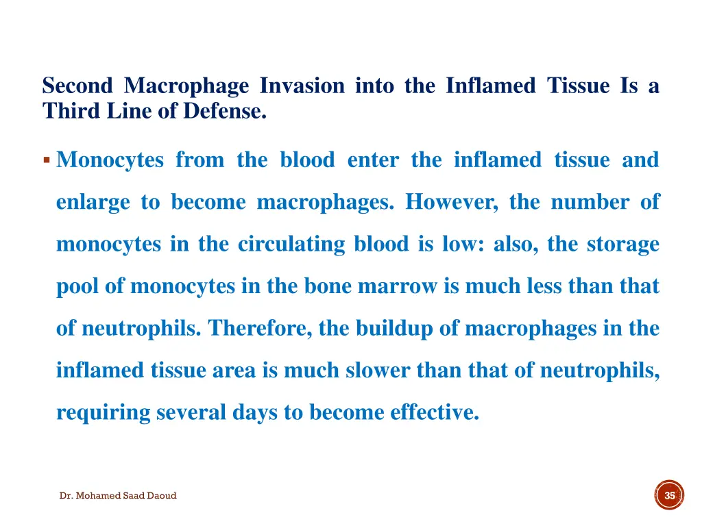 second macrophage invasion into the inflamed