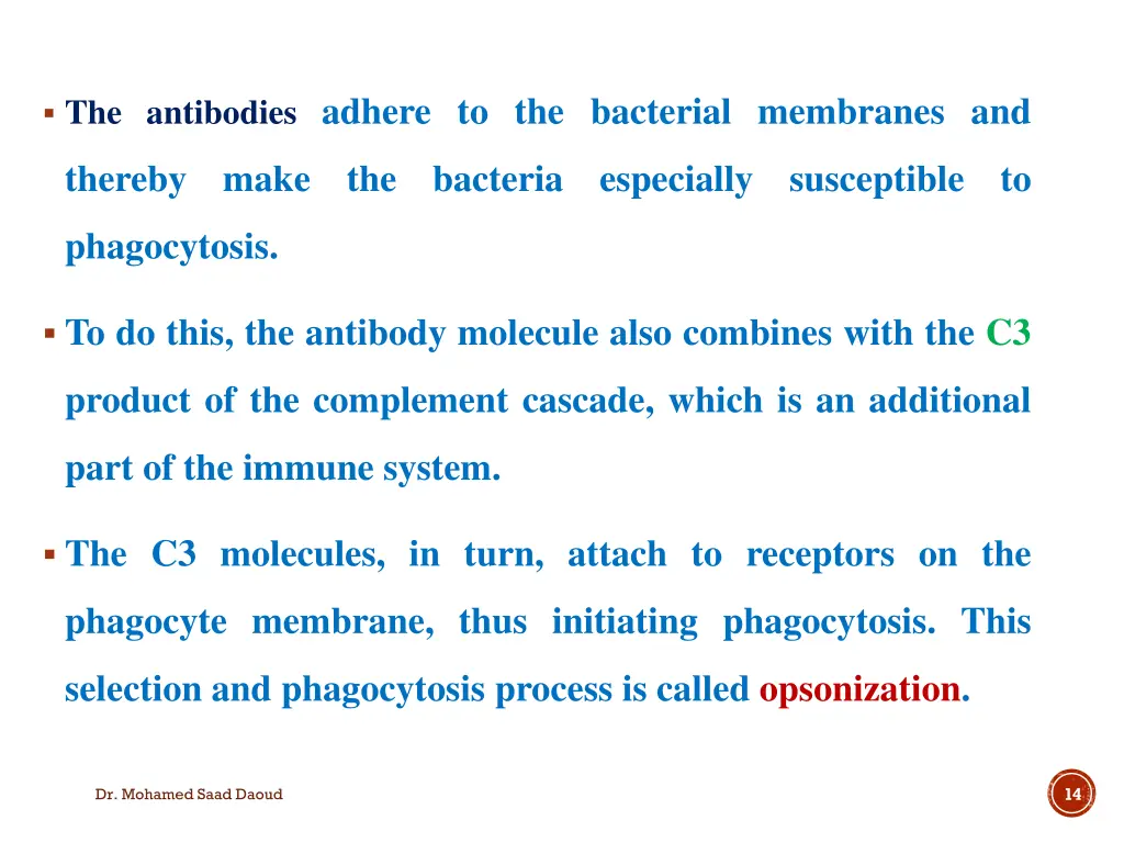 the antibodies adhere to the bacterial membranes